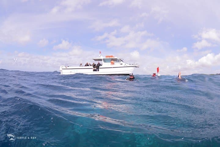 2 Tank Guided Boat Diving Trip to Eastpoint, Curacao