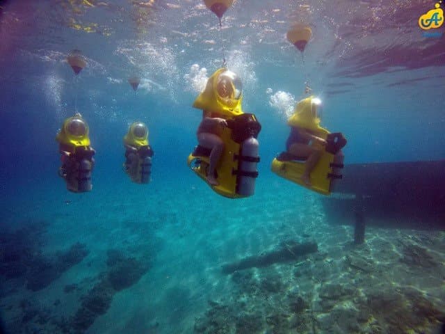 Aquafari