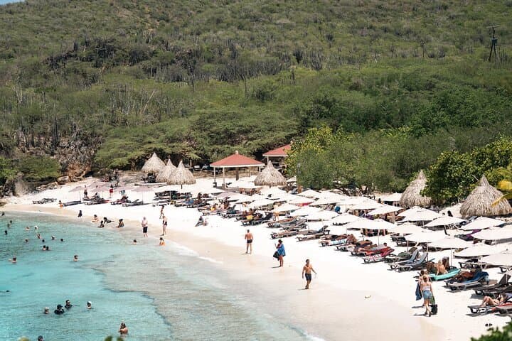 Curacao Full-Day Tour: Hato Caves, Turtles, Kenepa & Flamingos
