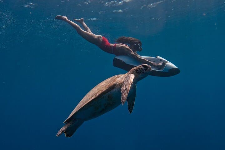 Curacao Seabob in Playa Piskado Adventure with Sea Turtles