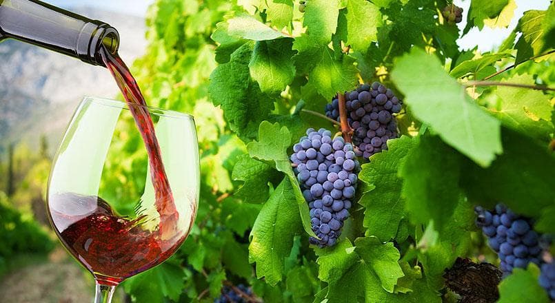 Curacao Winery