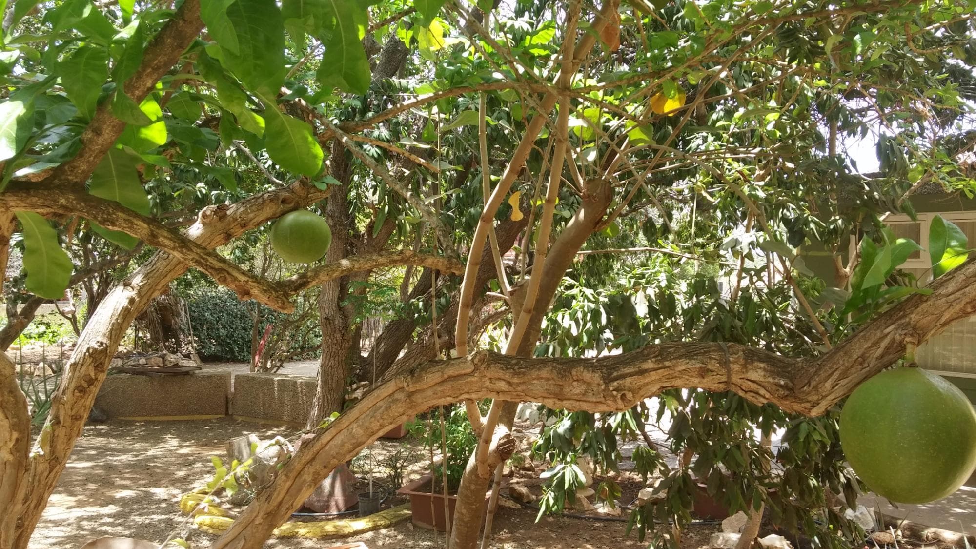Den Paradera - Dinah's Botanic & Historic Garden