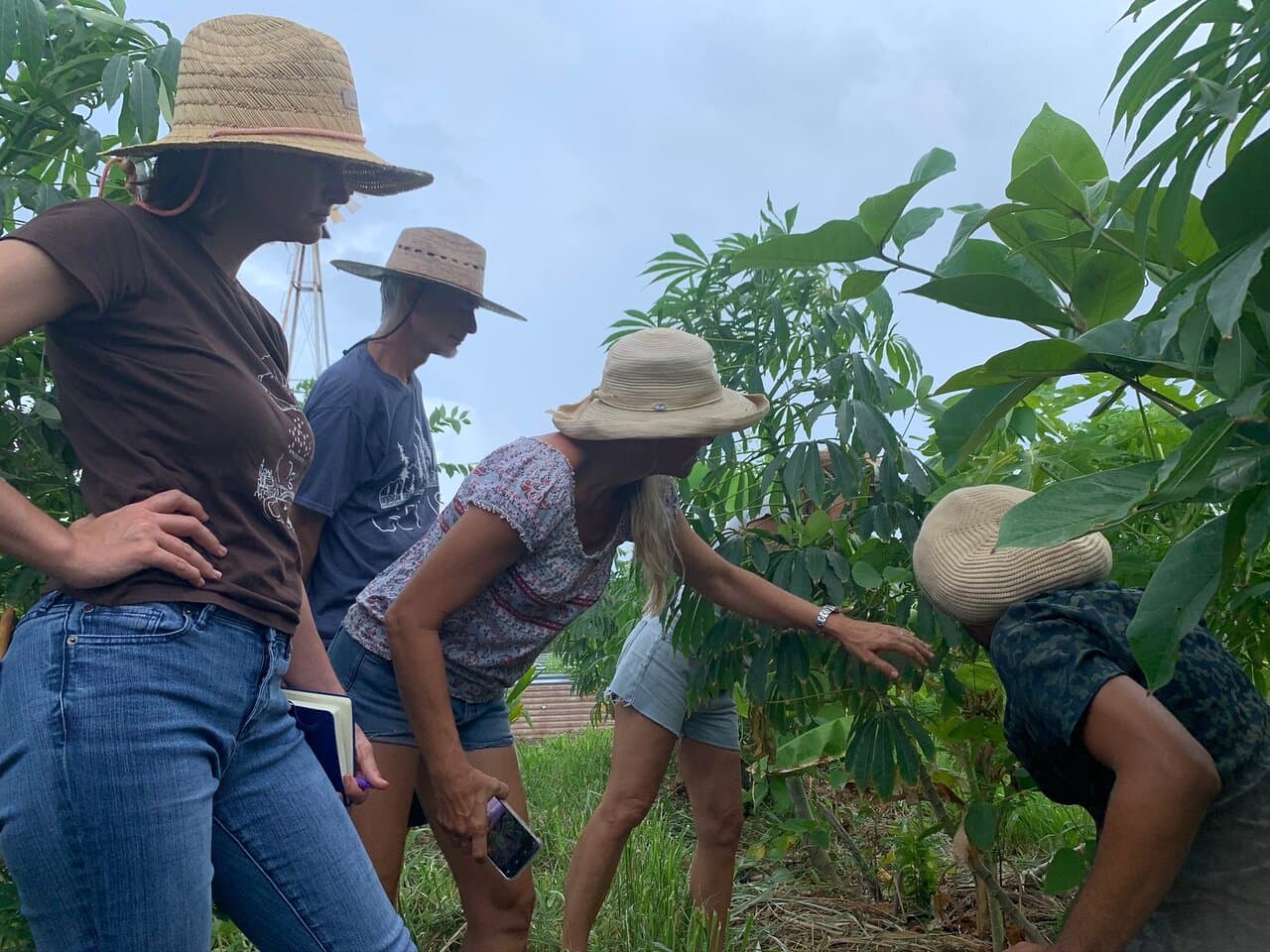 Forest Farm Tour
