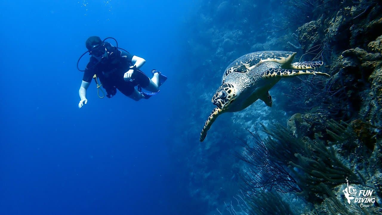Fundiving Curacao