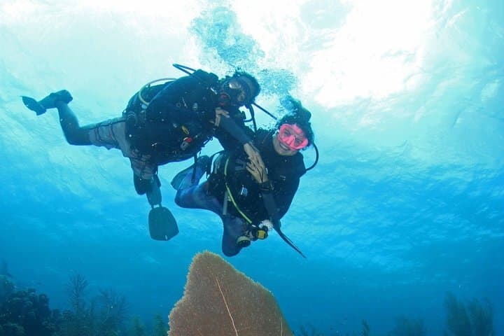 Guided Shore Dive for Certified Divers with Scubacao (1 tank)