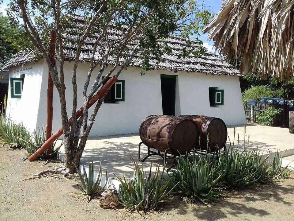 Kas di Pal'i Maishi