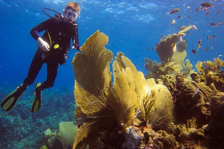 Personalized 2 Tank Guided Experience in Curacao