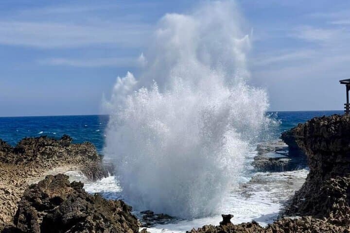 Private Customizable Curacao Beaches, Nature & Countryside Tour