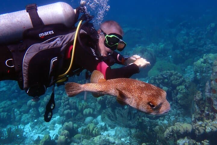 Private VIP Certified Scuba Diving in Curacao