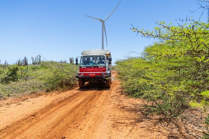 Safari Snorkel Tour Full Day