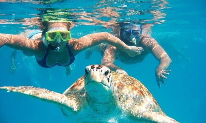 Snorkel Tour in Curacao