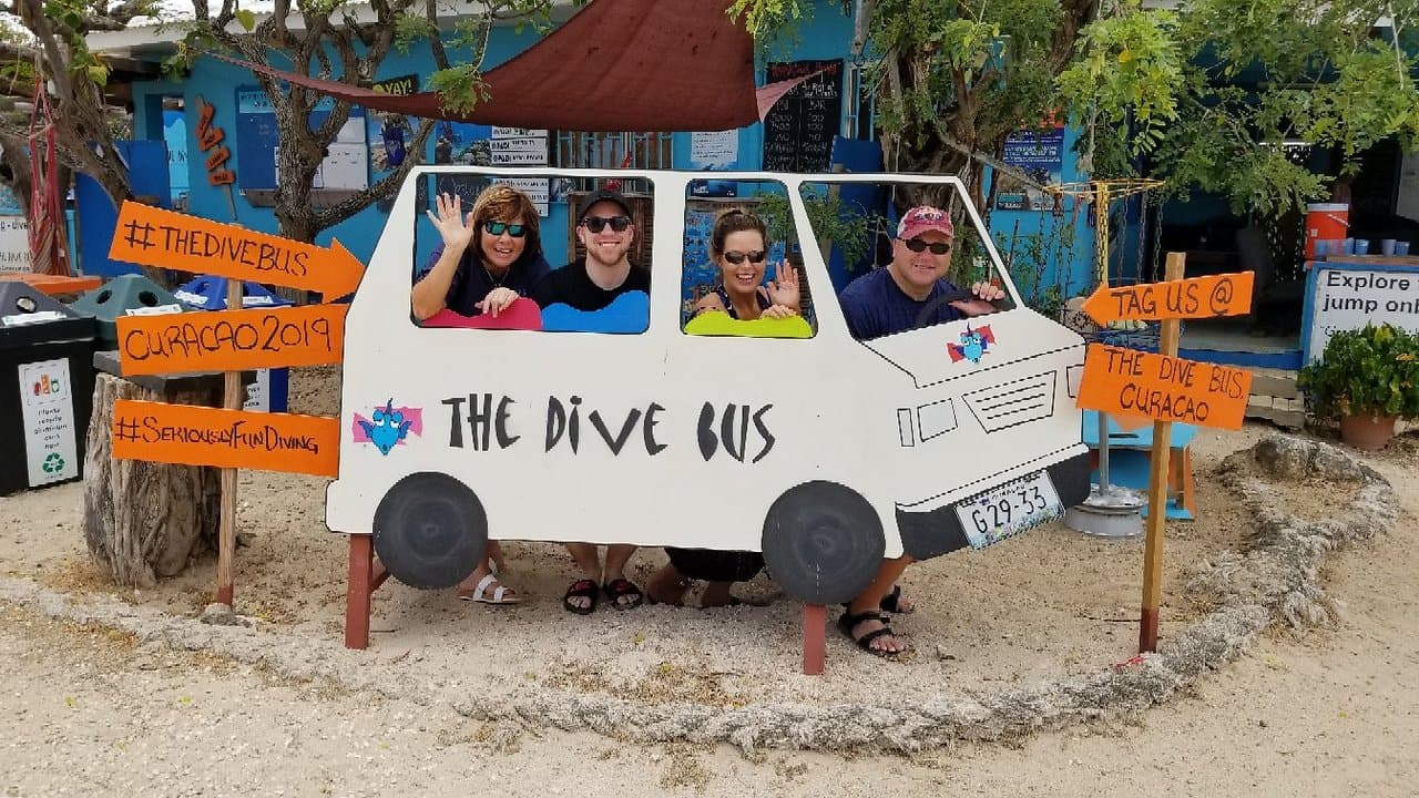 The Dive Bus