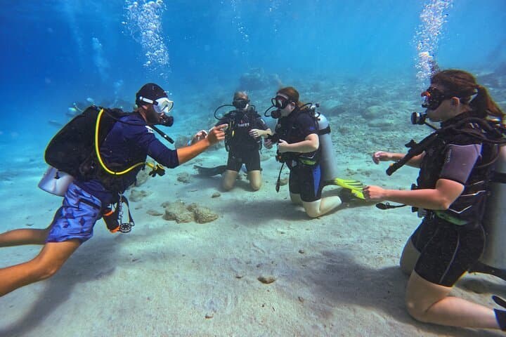 Two and a Half Hours Scuba Diving Experience in Curacao