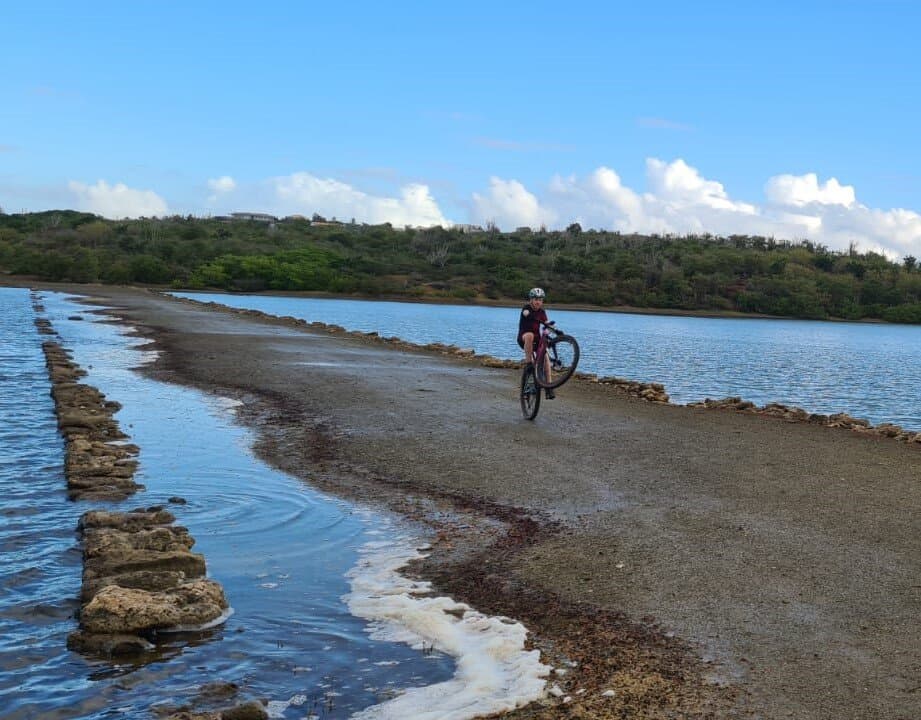 WannaBike