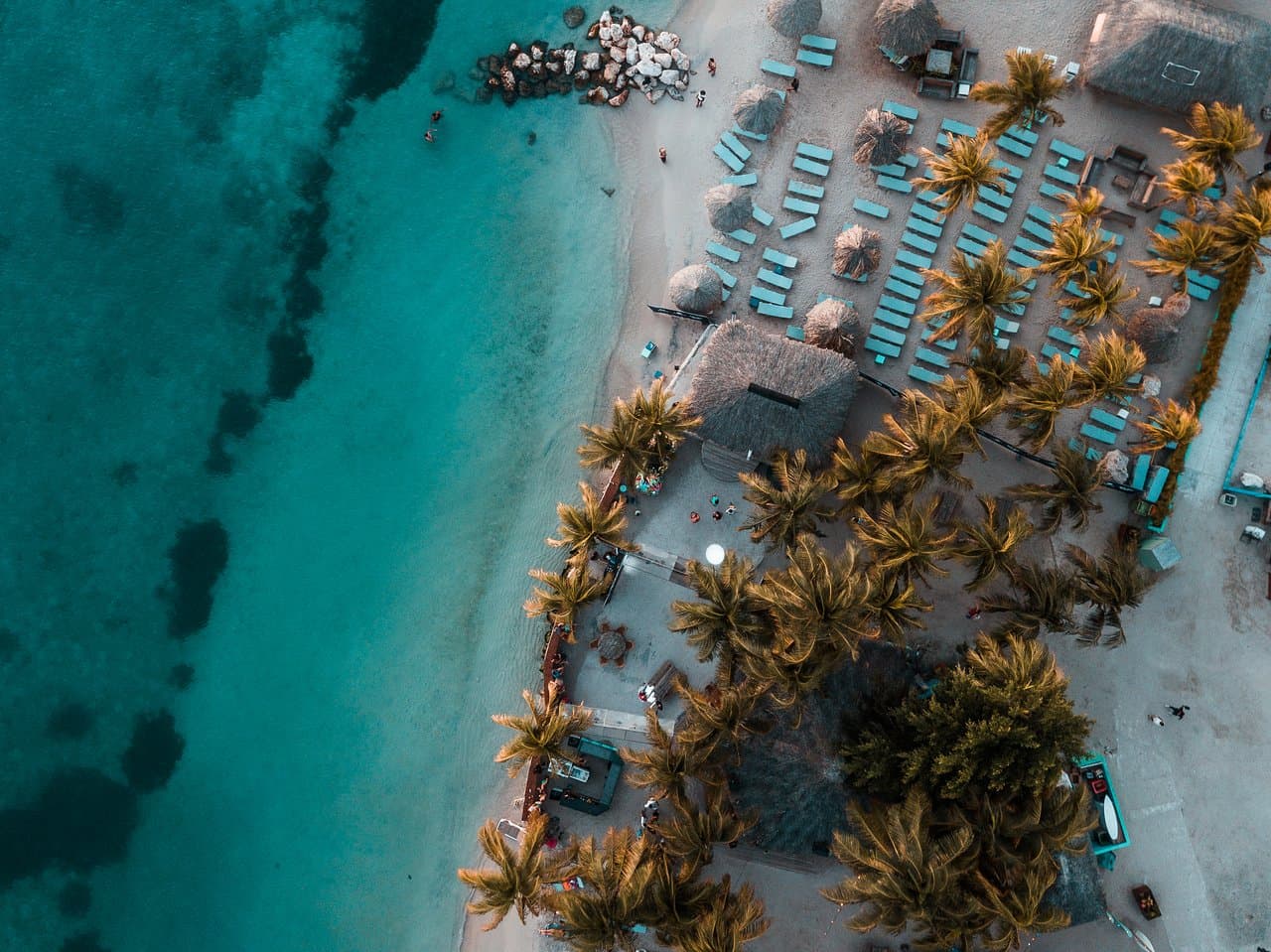 Wet & Wild Beach Club