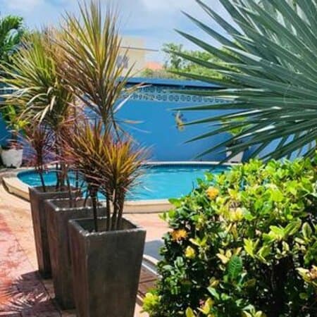Caribbean Flower Apartments