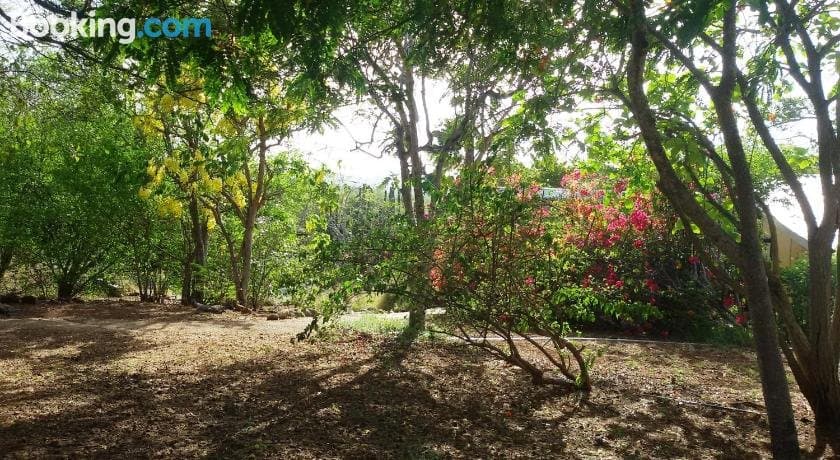 Yoga Centrum Curacao