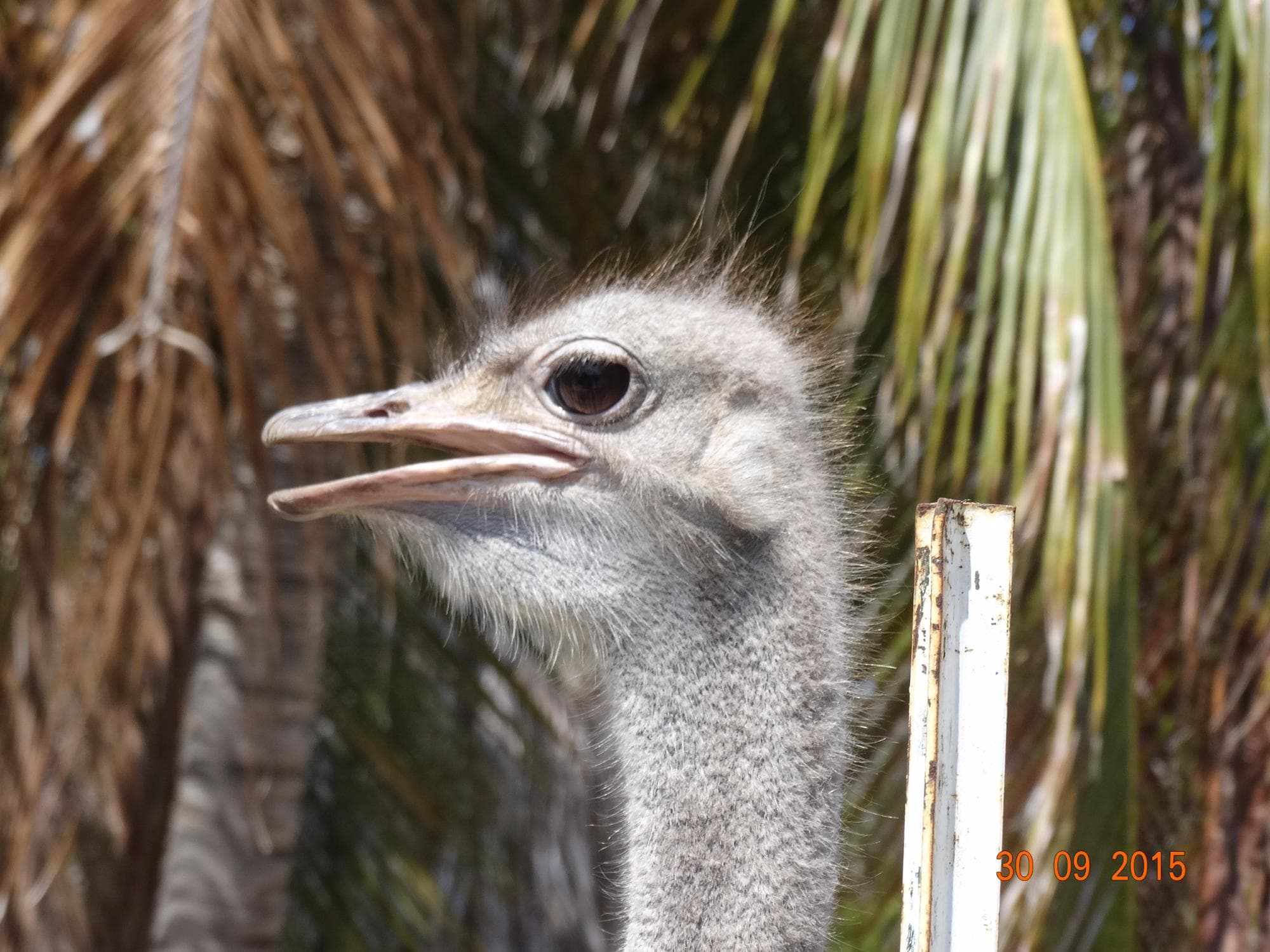 Curacao Zoo